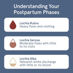 LOLA 100% Organic Cotton Postpartum Pads - 20 Count, Ultra Absorbent and Extra Long Pads, Overnight and Full Coverage, Adult Incontinence Pad for Women, Postpartum Essentials Phase 2
