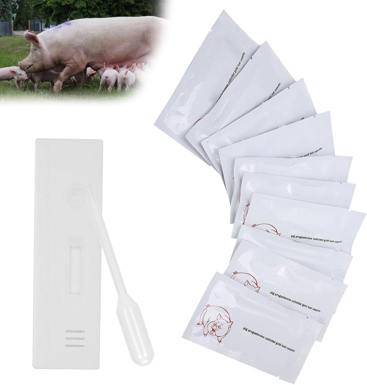 10pcs Pig Pregnancy Test Strip Accurate Screening Tool for Livestock