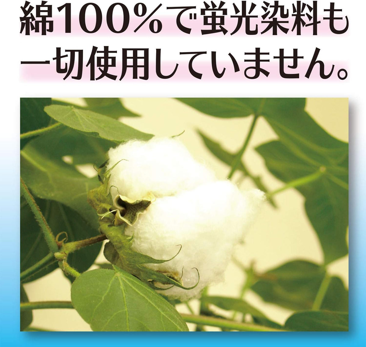 Hakujyuji Medical Gauze Individually Wrapped Sterile 7.5cm 1 pieces