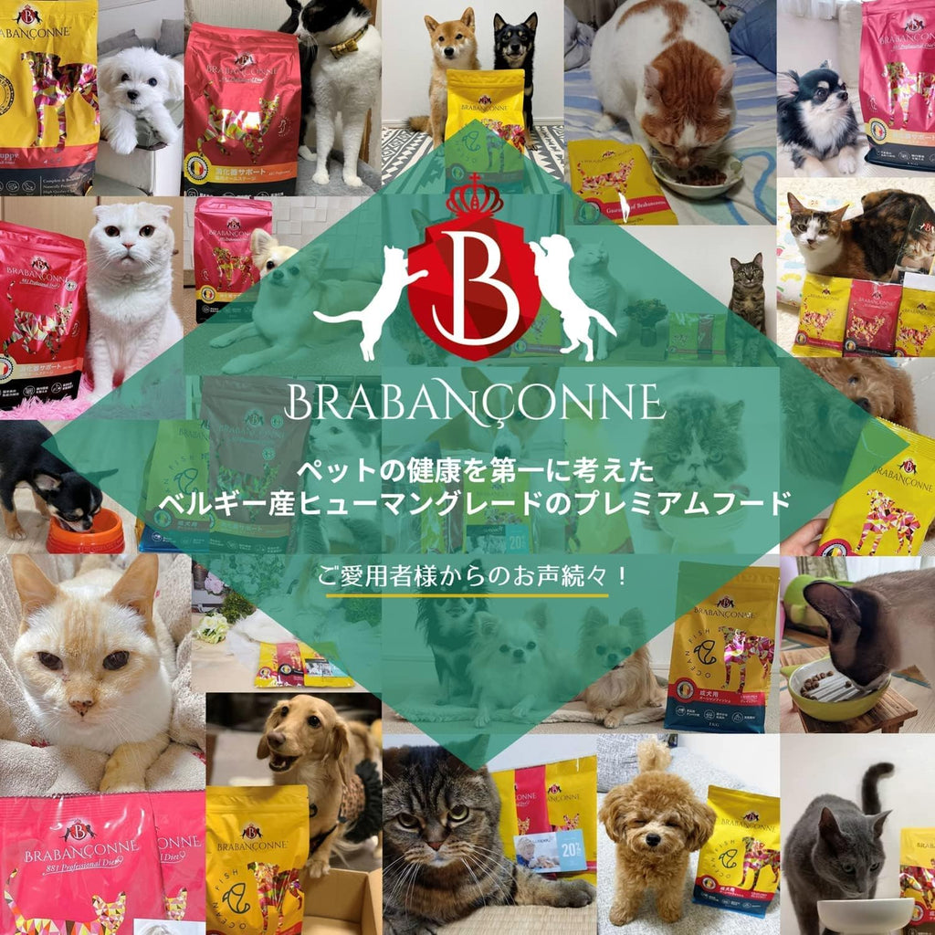 Pet Supplies No Added Ingredients 2.5kg