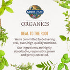 Garden of Life Organics Men's Once Daily Multivitamin, 30 Tablets | Organic Mens Vitamins & Minerals, Vitamin C, Zinc, Vegan, For Health & Well-Being, Whole Food