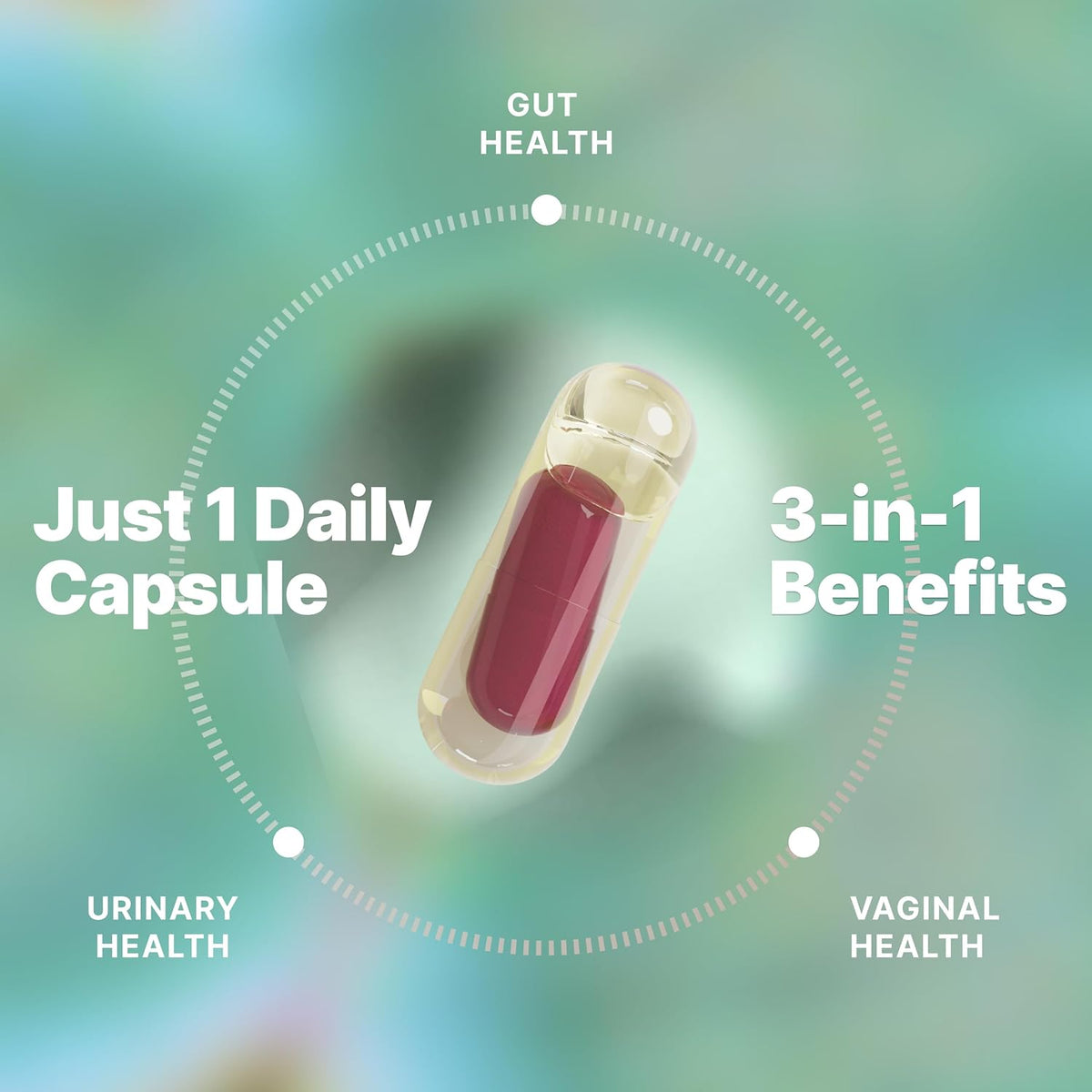 Evvy Women's 3-in-1 Probiotic Gut, Urinary & Vaginal Health | 90 Day Supply