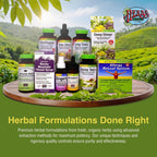 Herbs Etc. Allertonic Softgels, Herbal Allergy Supplement, 120 Count | Herbal Allergy Supplement with Organic Fresh Stinging Nettle, Eyebright, and Mullein for Respiratory Support, Non-Drowsy