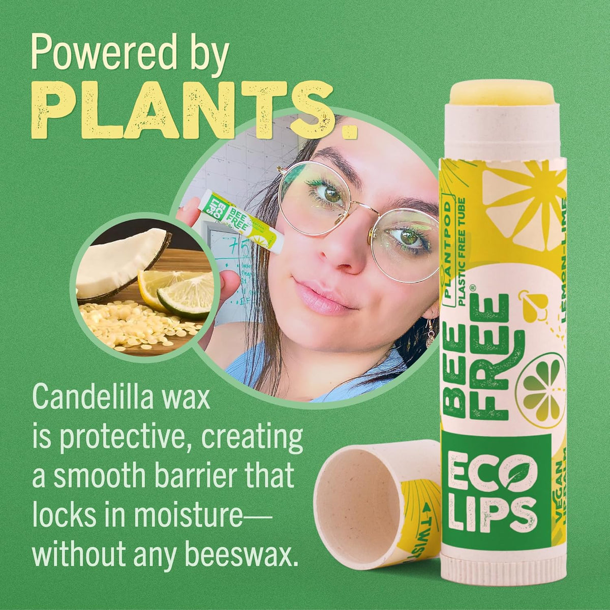 Eco Lips Bee Free Sweet Mint Vegan Lip Balm with Candelilla Wax, 3 pack | Nourishes Dry Lips | Plant-Based Ingredients | Cruelty Free | Long-Lasting Moisture | Cruelty & Petroleum Free