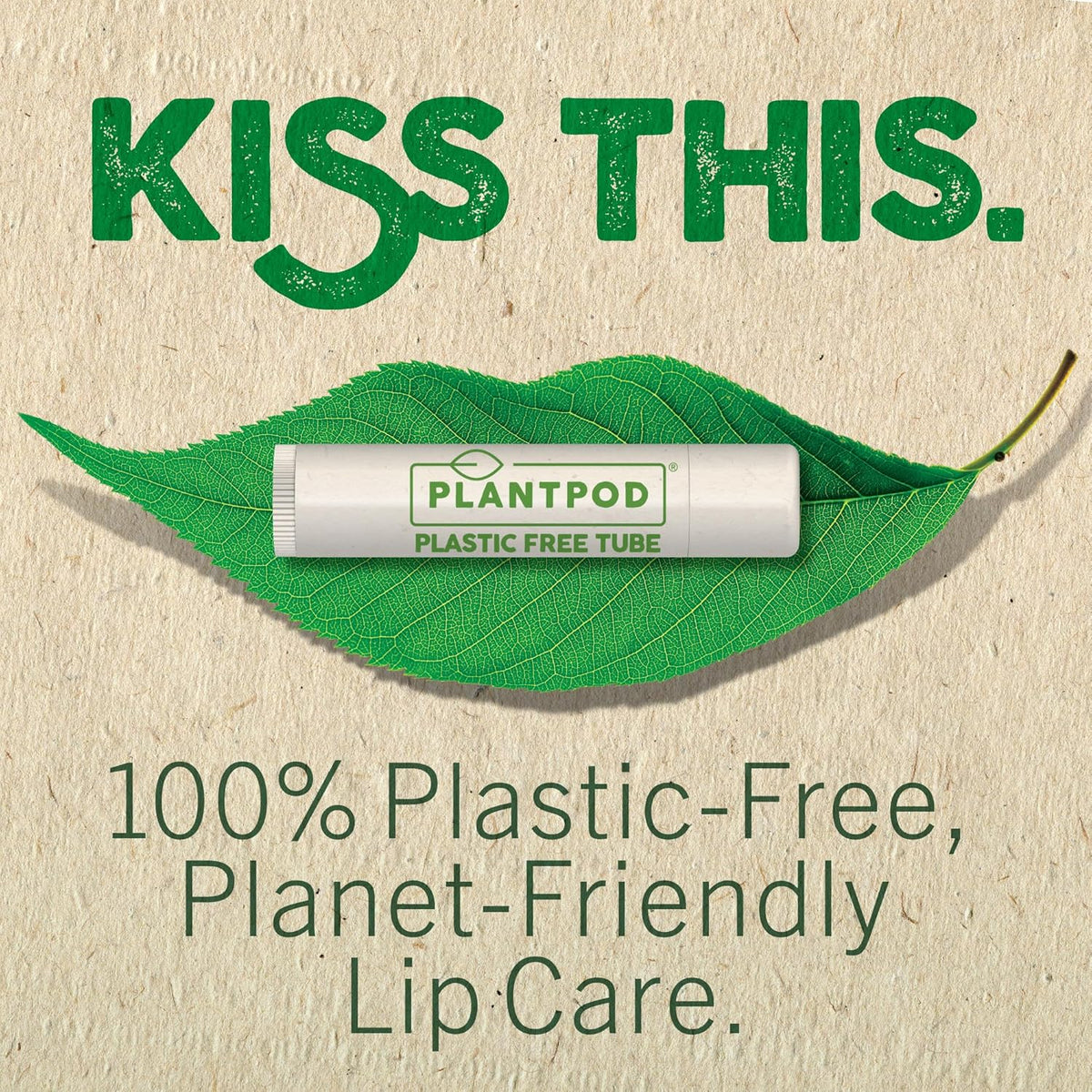 Eco Lips Bee Free Sweet Mint Vegan Lip Balm with Candelilla Wax, 3 pack | Nourishes Dry Lips | Plant-Based Ingredients | Cruelty Free | Long-Lasting Moisture | Cruelty & Petroleum Free