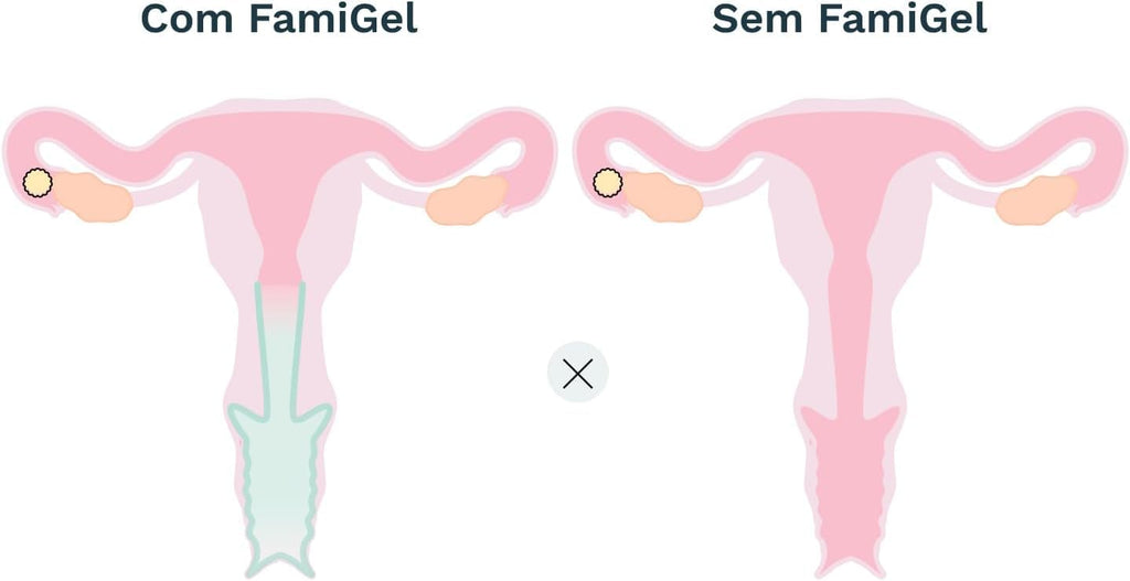 FamiGel Personal Lubricants 60g