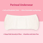 B-Arm Normal Delivery Postpartum Recovery Kit(10 pcs)|Includes 4 Disposable Underwear, 4 Icemaxi pads, 100ml Perineal Healing Foam, Pack of 25 Witch Hazel Padliners| New Mom's Hospital Bag Must-have
