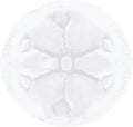 Sanitary Pads 30 pieces