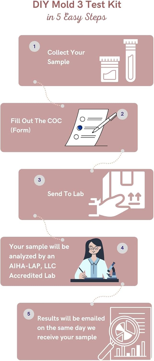 DIY Mould 3 Environmental Test Kits