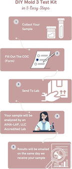 DIY Mould 3 Environmental Test Kits