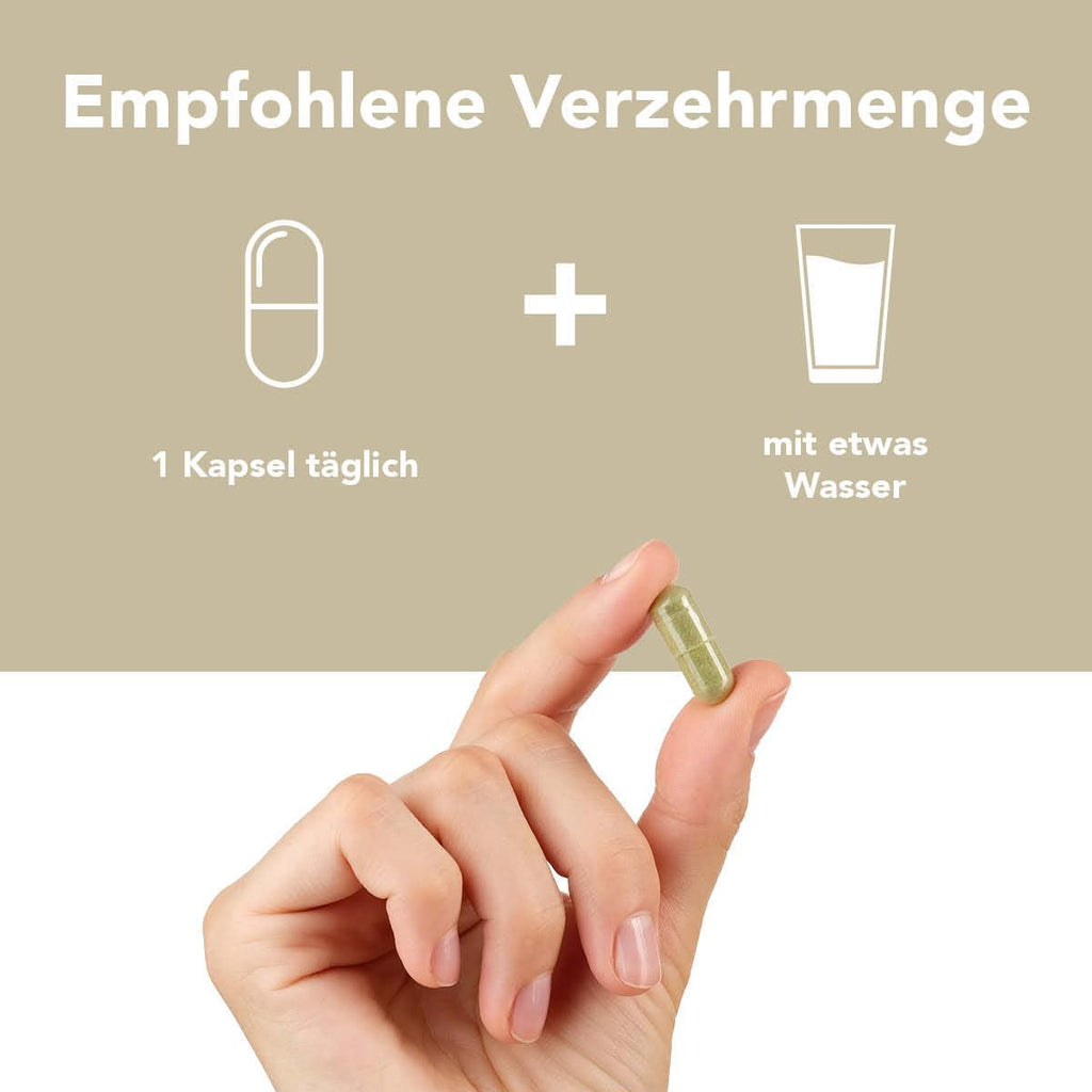 Fermentura Dietary Supplements 30 capsules