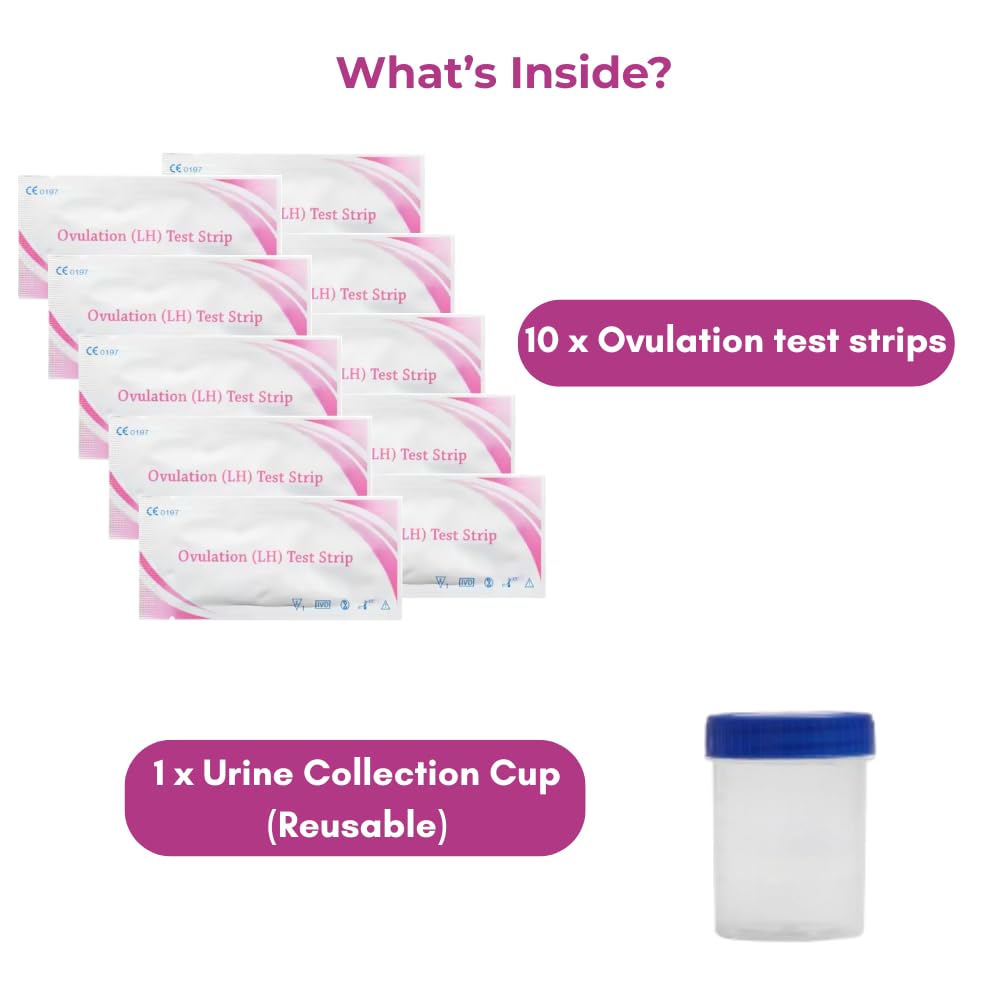 B-Arm Rapid Ovulation Test Strip Kit for Women with 10 Strips & 1 Reusable Container| 99% Accurate & Quick Results in 5 Mins| At Home Fertility Kit| Monitors Most Fertile Days for Planning Pregnancy