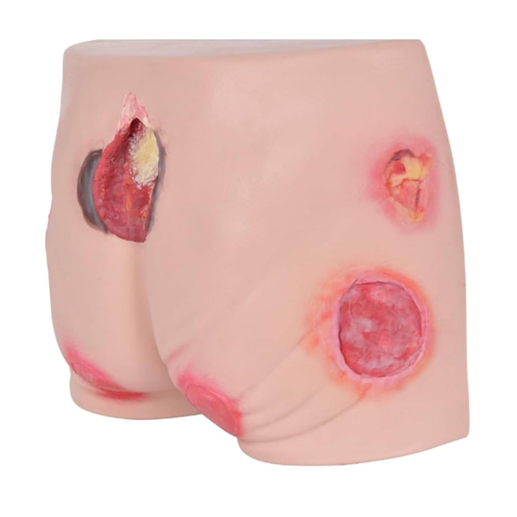 Medical Training Models