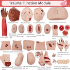 Medical Training Models