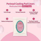 B-Arm Normal Delivery Postpartum Recovery Kit(10 pcs)|Includes 4 Disposable Underwear, 4 Icemaxi pads, 100ml Perineal Healing Foam, Pack of 25 Witch Hazel Padliners| New Mom's Hospital Bag Must-have
