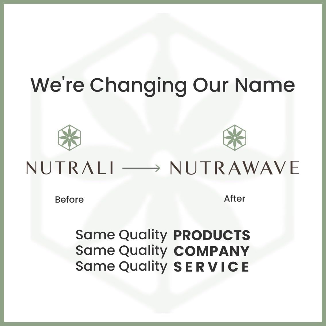 Nutrawave 50 Billion Daily Probiotic for Men & Women – 15 Strains of Live Cultures | 60 Vegan, Gluten-Free Capsules