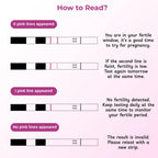 B-Arm Rapid Ovulation Test Strip Kit for Women with 10 Strips & 1 Reusable Container| 99% Accurate & Quick Results in 5 Mins| At Home Fertility Kit| Monitors Most Fertile Days for Planning Pregnancy