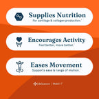 LifeSeasons Mobili-T - Joint Support Supplement - Reduces Aches & Discomforts - Increase Range of Motion - Rebuild Tissue & Cartilage - MSM Chondroitin Collagen Glucosamine & Turmeric - 120 Capsules
