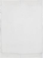 CareStock Abdominal Pads 8x10 in [48-Pack] Sterile ABD Pads, Extra Absorbent, Individually Wrapped, Wound Care First Aid, 24 Count, Pack of 2