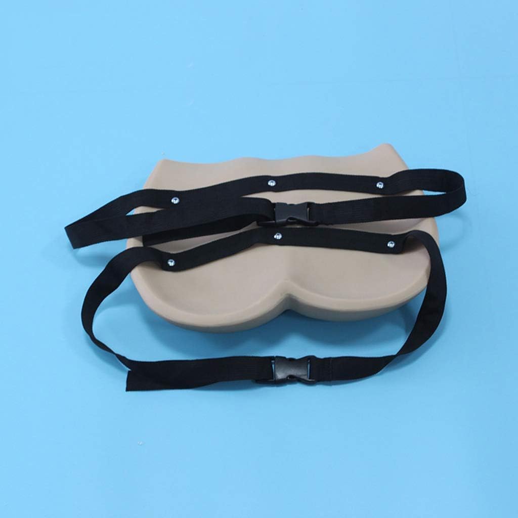 Model Nursing Decubitus Advanced 4Stages Escares Model Anatomical Care Ulcers Decubitus Simulator Pressure Ulcers Model Nursing Wound Care Decubitus Practice Model