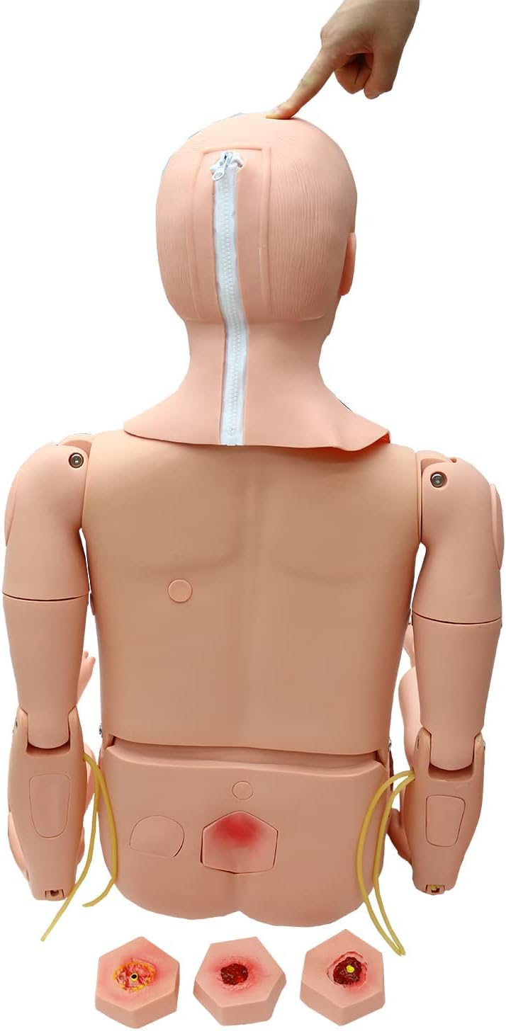 Medical Training Models 170 cm
