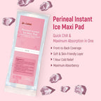 B-Arm Normal Delivery Postpartum Recovery Kit(10 pcs)|Includes 4 Disposable Underwear, 4 Icemaxi pads, 100ml Perineal Healing Foam, Pack of 25 Witch Hazel Padliners| New Mom's Hospital Bag Must-have