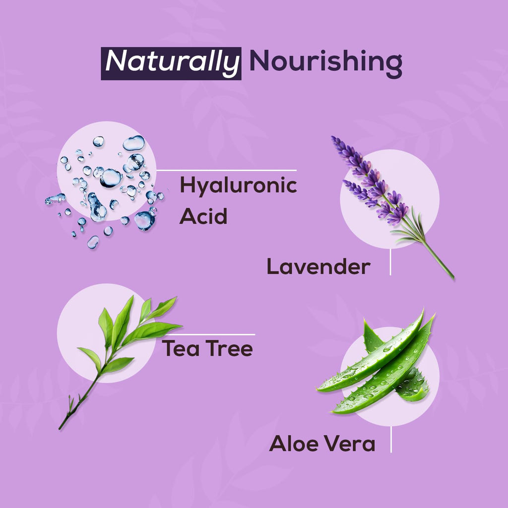 NOVEHA Lavender and Tea Tree Oil Eyelid Foaming Cleanser | Hydrating Hypoallergenic Daily Soap For Eyelashes and Lids, For Demodex, MGD, Stye Eye, Eye Irritations & Dry Skin | 3.38 fl oz (100ml)