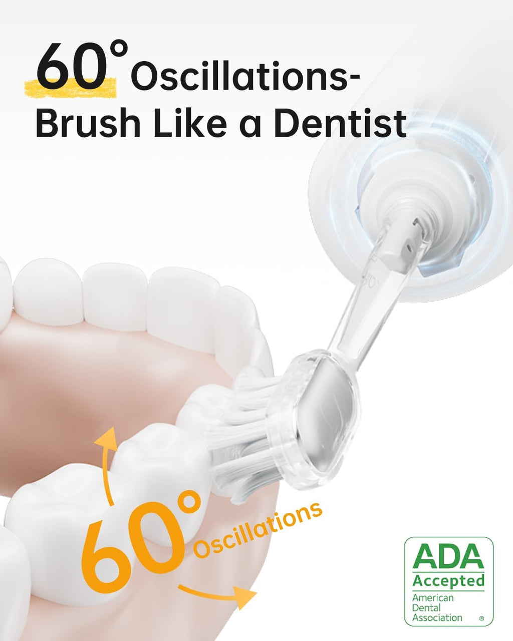 Laifen Wave Special Electric Toothbrush, New 2025 Version Oscillation & Vibration Sonic Electric Toothbrush for Adults with App, 2 Brush Heads, IP68 Waterproof Travel Powered Toothbrush (Meadow Green)