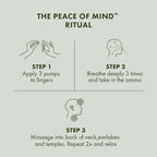 Origins Peace of Mind On-the-Spot Relief | Relaxing Aromatherapy Experience With Eucalyptus, Peppermint & Basil Essential Oils | Wellness Gift