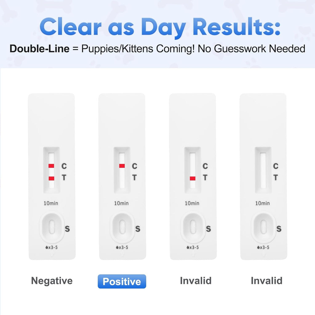 Dog & Cat Urine Pregnancy Test Kit at Home, 5-Minute Fast & Accurate Results up to 99%, Painless & No Blood Draw, Easy Test Strips for Pet Owners & Breeders