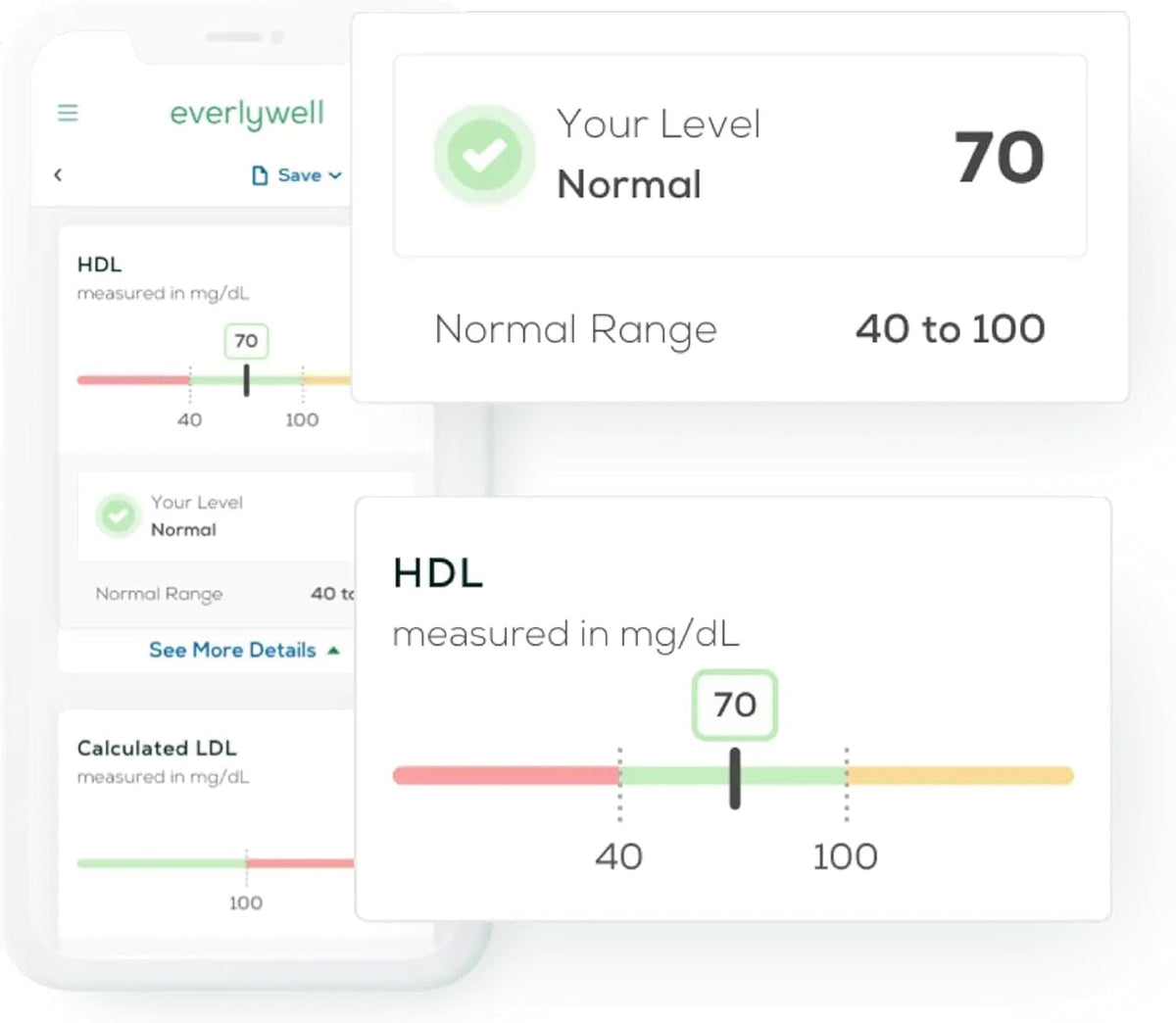Everlywell At-Home Cholesterol and Lipids Lab Test Collection Kit for Women and Men, Measures HDL, LDL and Triglycerides for Accurate Results from a CLIA-Certified Lab Within Days, for Ages 18 Plus