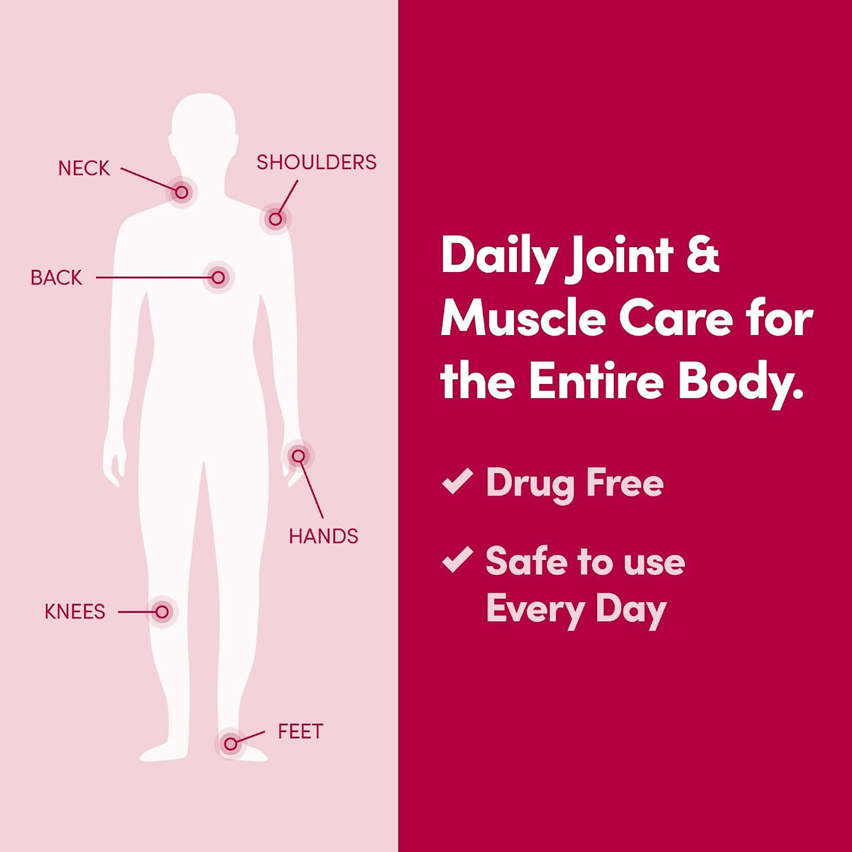 Penetrex Daily Joint & Muscle Care Cream – Soothing Botanical Formula with Arnica, Vitamin B6 & MSM – Lightweight Fast-Absorbing Cream for Everyday Movement - Non-Greasy - Light Scent- 2 oz