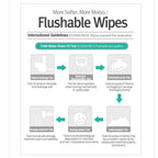 Epielle Personal Cleansing Wipes | Natural Ingredients | Flushable Wet Wipes | Travel Size, Daily Use | 2 Pack | Korean Skincare