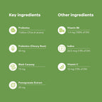 Probiotic Supplements