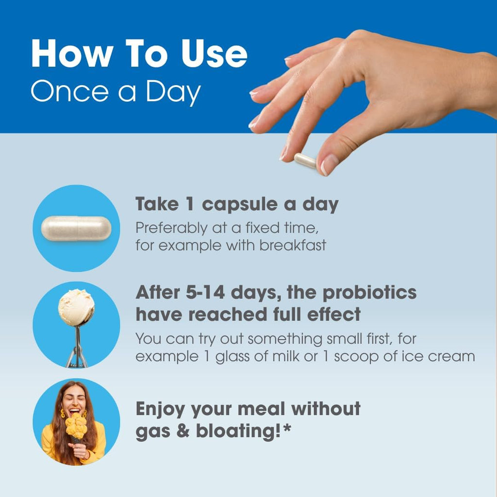 Intoleran Once a Day Probiotic Lactase Supplement - 30 Capsules | Actively Produces Lactase Enzyme, Helps Digest Dairy, 1 Capsule/Day, 6 Lactic Acid Ferments, Pure & Dairy Free