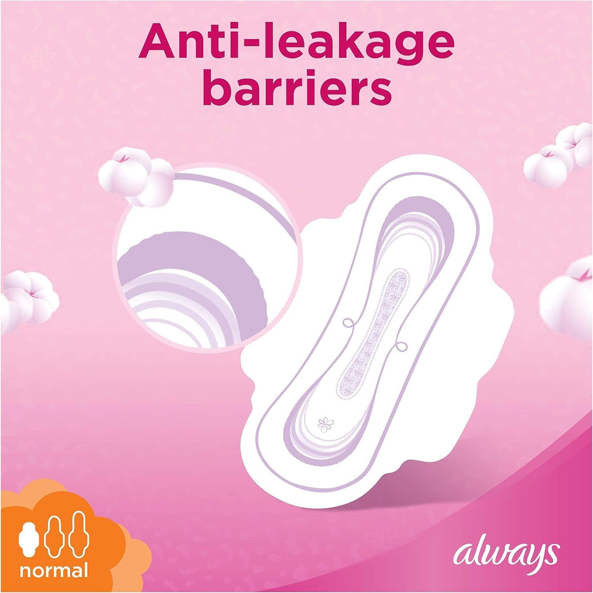 Sanitary Pads With Wings 10 pads
