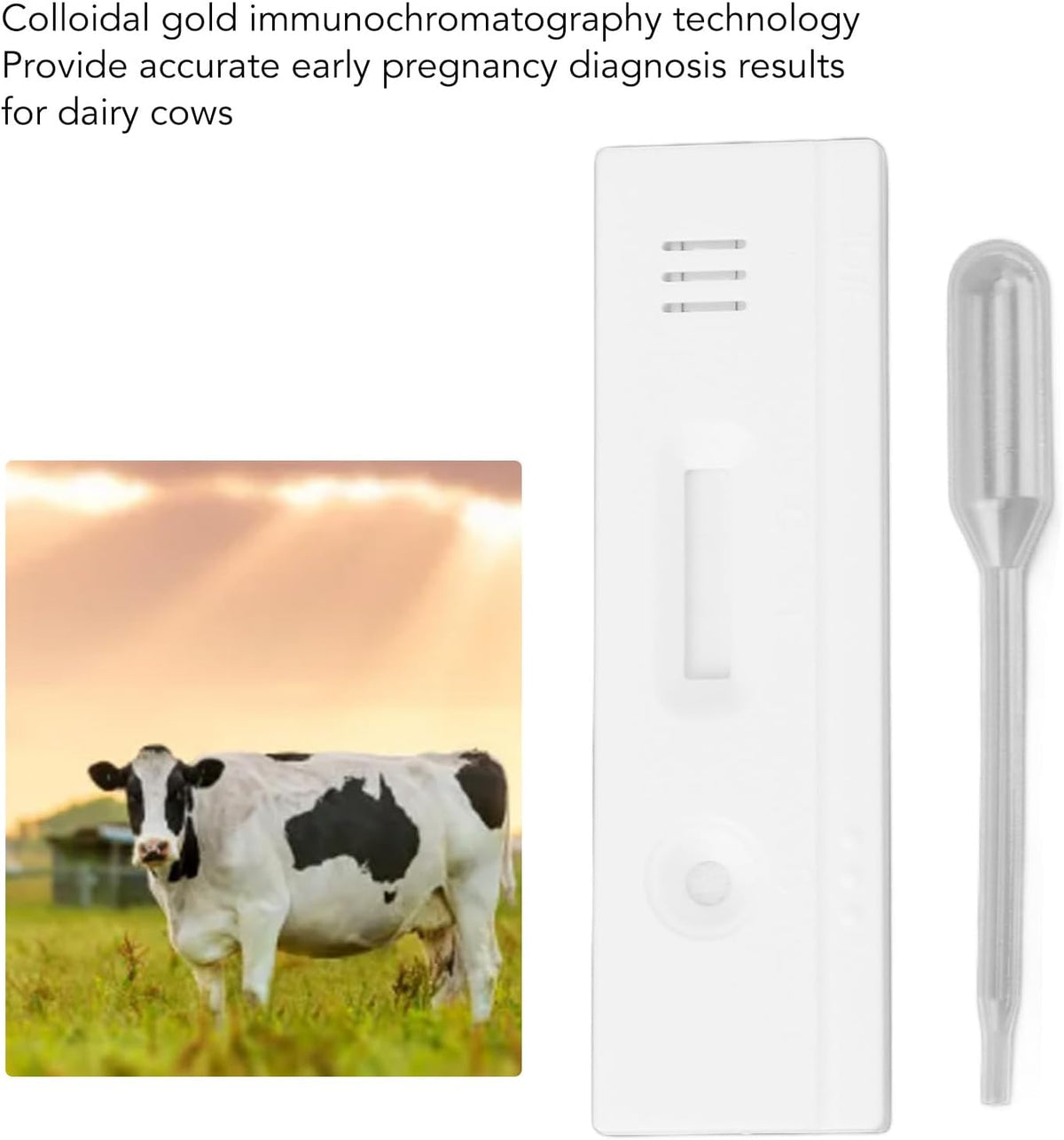 ERYUE Set of 10 Pregnancy Test Strips for Cow, Early Pregnancy Diagnostic Tool, High Accuracy, Quick Detection, Simple Operation