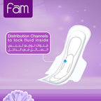 Sanitary Pads 10 pads