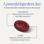 EyePromise Zeaxanthin + Lutein Eye Health Supplements, 60 Softgels | Lutein and Zeaxanthin Supplements to Enhance and Support Healthy Vision, 30-Day Supply (Packaging May Vary)