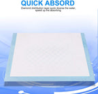 160PCS Adult Disposable Economy Pads Large Size, 90x60CM Thicken Adult Incontinence Disposable Bed Pee Underpads (160PCS)