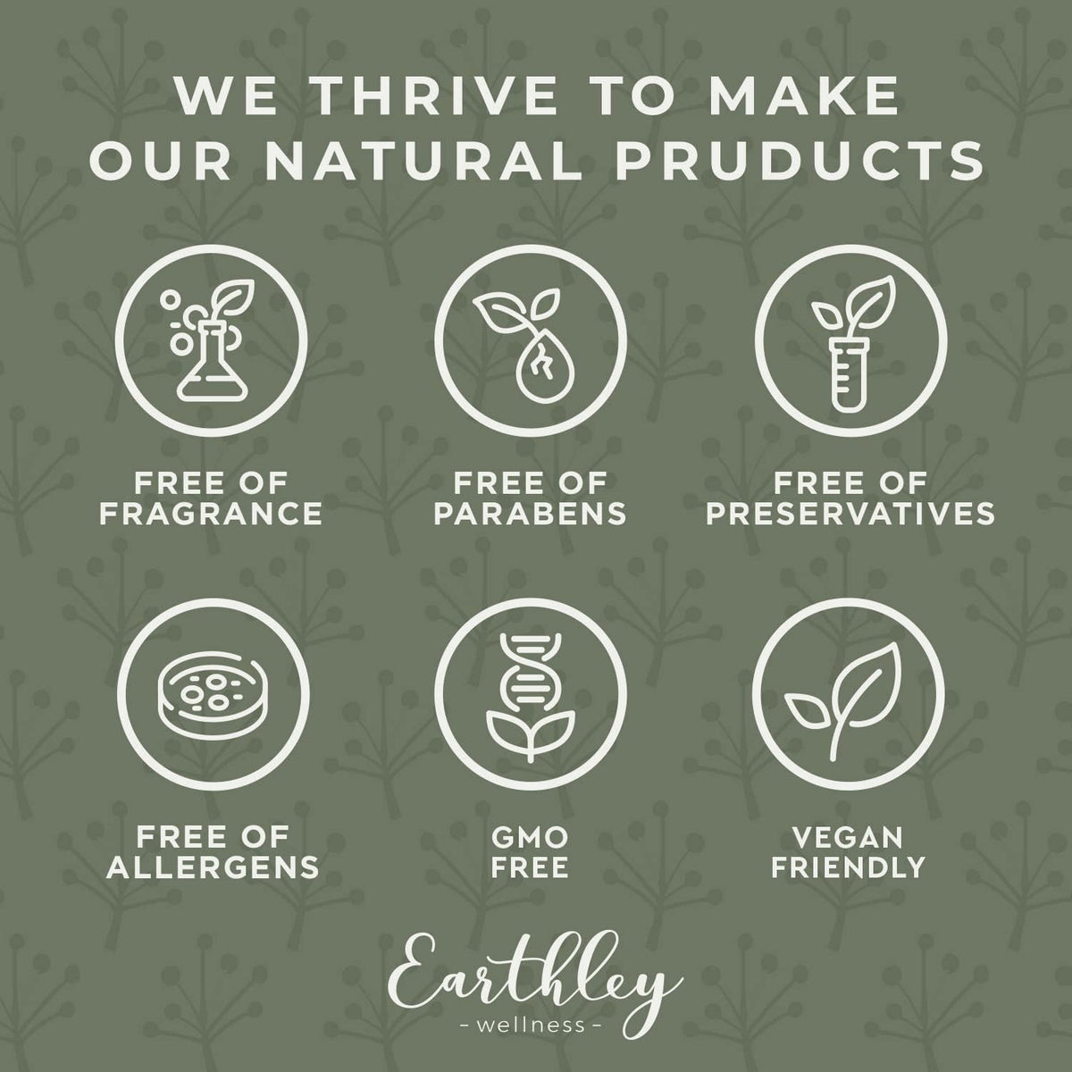 Earthley Wellness Earache Ease, Organic Herbal Ear Comfort Drops with Mullein Leaf & Olive Oil, Safe for Babies, Kids & Adults, Clean Formula, Packaging May Vary (1 oz)