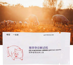 Disposable Pig Pregnancy Test Paper Bristle Pregnancy Tester Test Strip Pig Pregnancy Diagnostic Tester