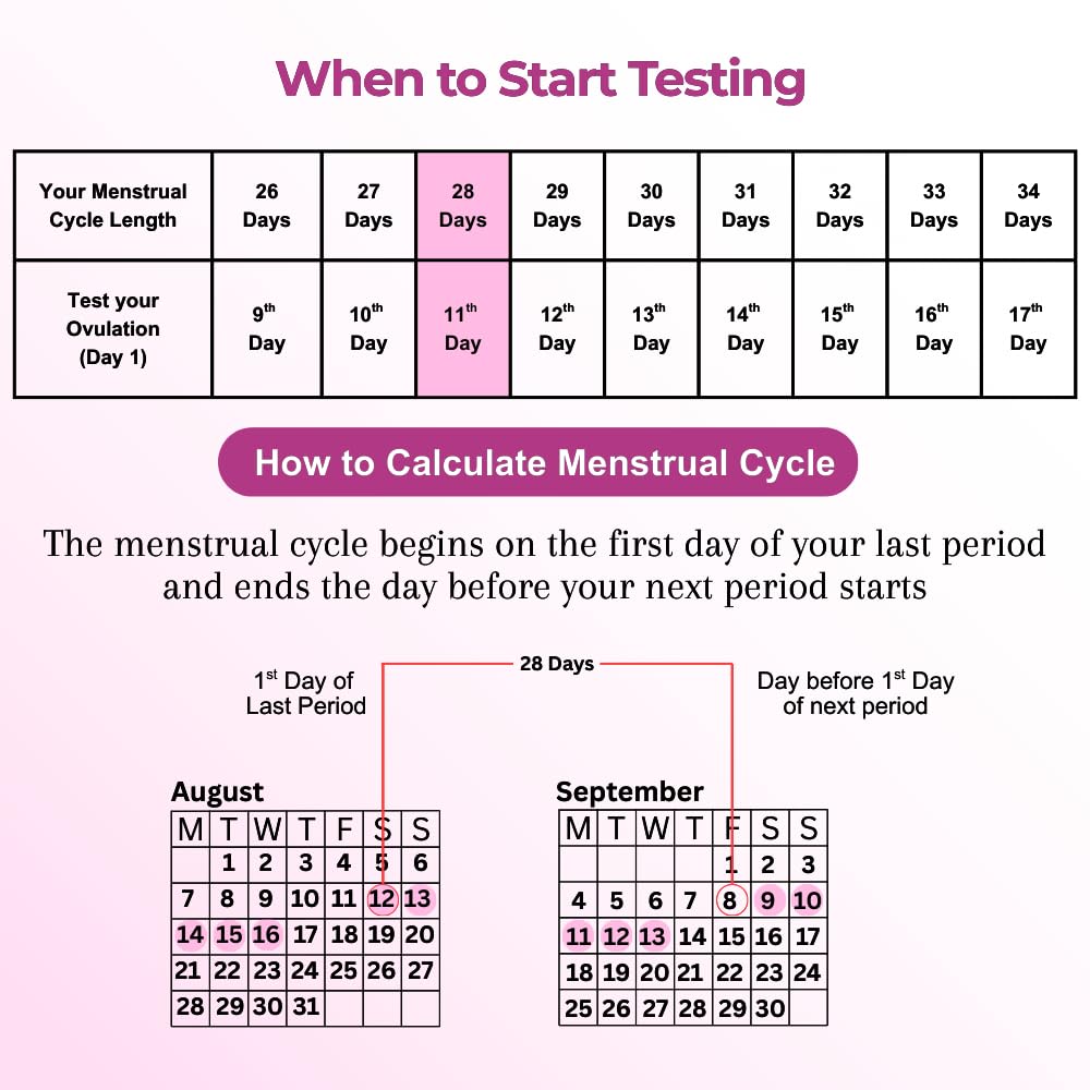 B-Arm Rapid Ovulation Test Strip Kit for Women with 10 Strips & 1 Reusable Container| 99% Accurate & Quick Results in 5 Mins| At Home Fertility Kit| Monitors Most Fertile Days for Planning Pregnancy