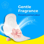 Paree Dry Comfort Regular 40 Pads | Wider Back for Extra Coverage |Quick Absorption | Mild Fragrance|Heavy Flow Sanitary Pads for Women