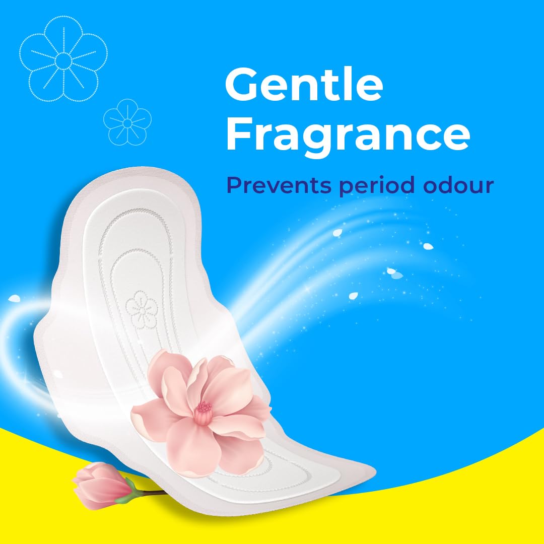 Paree Dry Comfort Regular 40 Pads | Wider Back for Extra Coverage |Quick Absorption | Mild Fragrance|Heavy Flow Sanitary Pads for Women