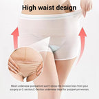 THMINS 10 Disposable Underwear Disposable Postpartum