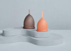 Saalt Soft Menstrual Cup – Reusable Period Cup – Made for Comfortable, Leak-Free Protection Up to 12 Hours – BPA & Latex Free – Includes Cup & Carry Bag (Regular Grey/Small Desert Blush)