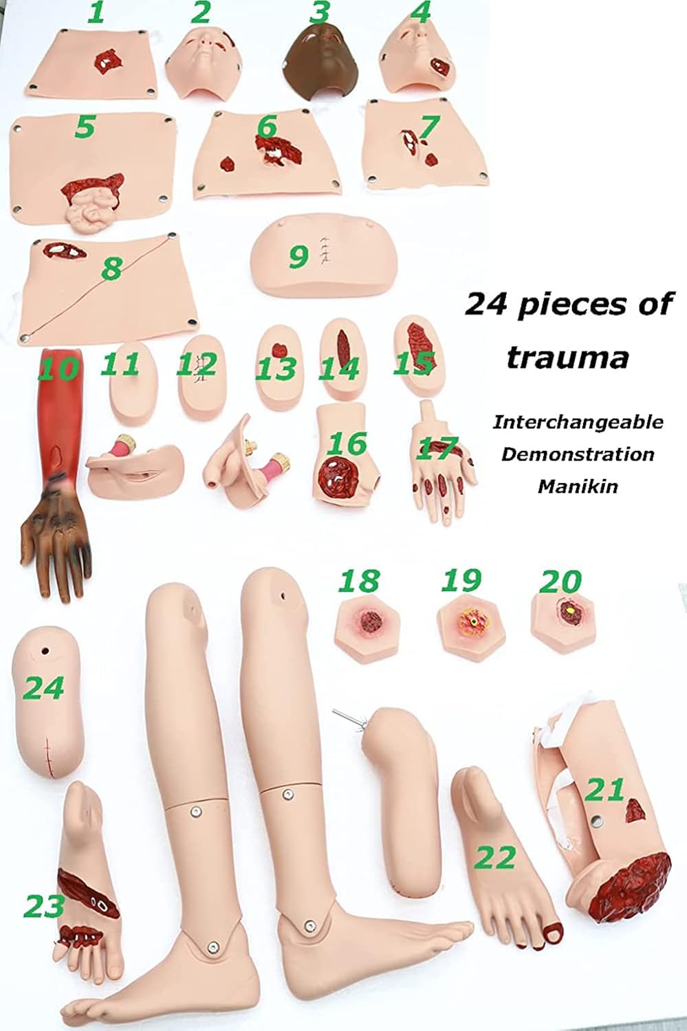 Medical Training Models 170 cm