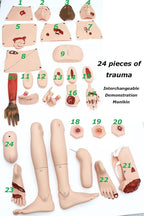 Medical Training Models 170 cm