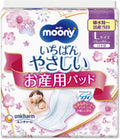 Moony Maternity Pads Maternity 5 pieces